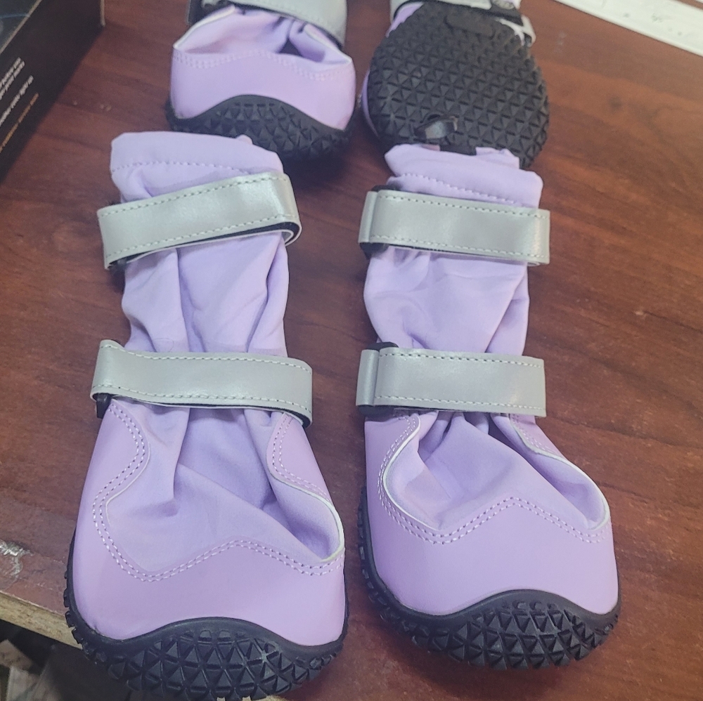Dogs Purple and Gray Shoes